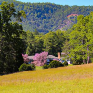 Mountain Laurel Recovery Center